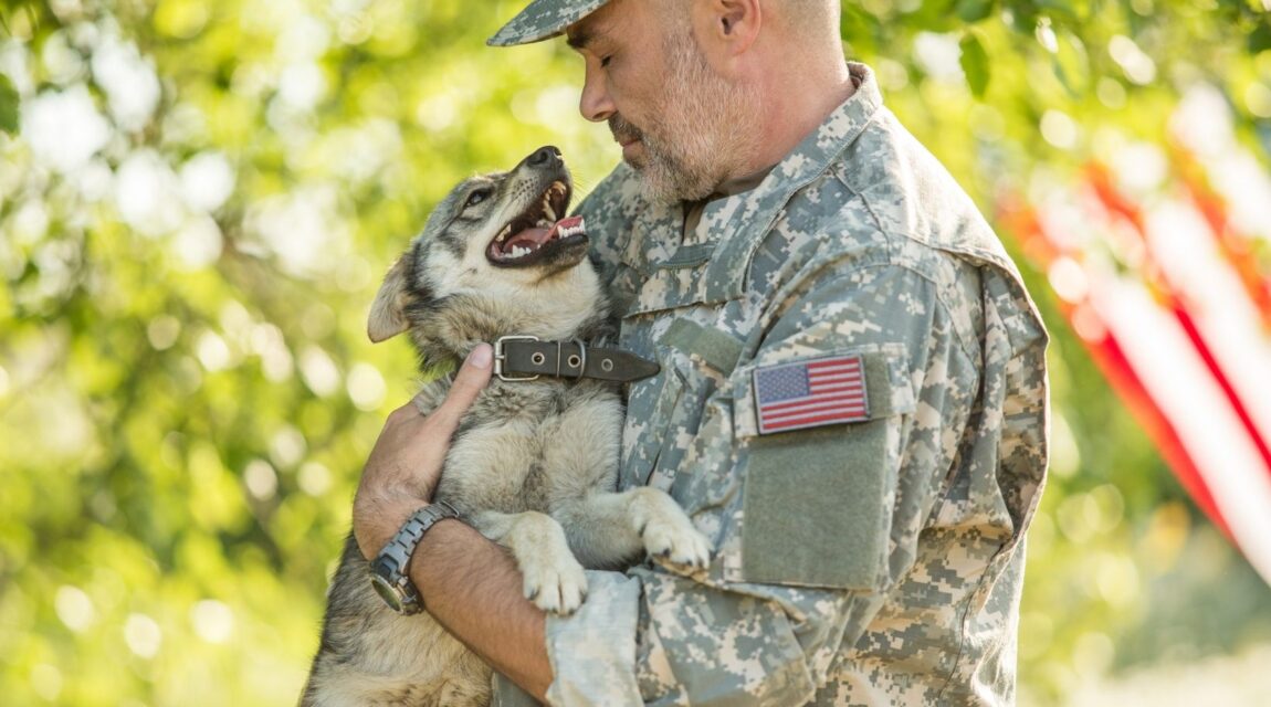 Why are Service Dogs Important to Veterans?
